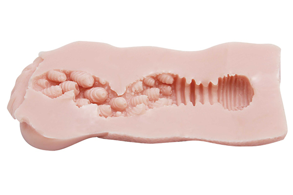 yPTPO~ʌz낱ف[@im[}jllP_聄