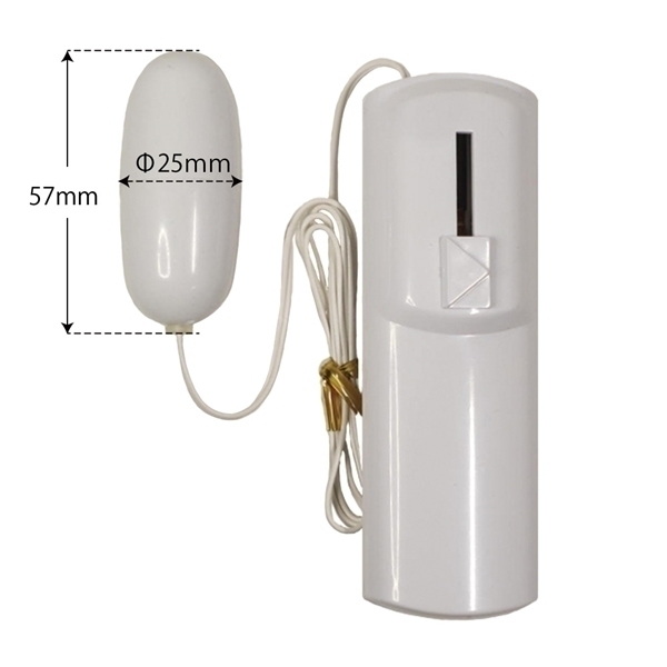 �y�V�V�O�~�����ʌ���z���u���[�G�b�O���[�^�[�@�z���C�g������l�l�P�_���聄